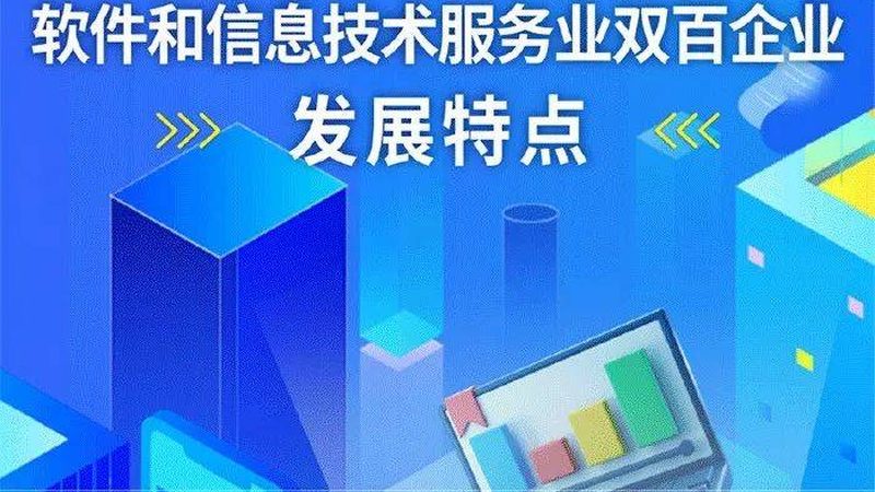 揭秘国内信息技术公司排名背后的考量因素